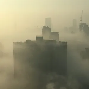 Image could not be loaded