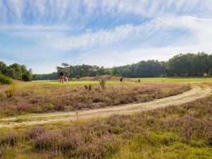 Golfbaan het Woold