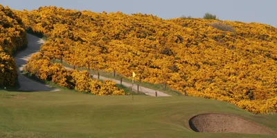 Club image Royal Dornoch Golf Club