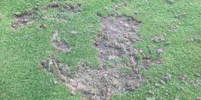 Club image Golfclub Nationalpark Hohe Tauern