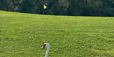 Club image Riverside Golf Zagreb