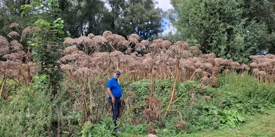 Club image Openbare Golfclub Dronten