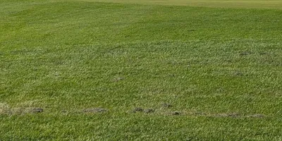 Club image Openbare Golfclub Dronten
