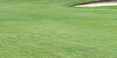 Club image Openbare Golfclub Dronten