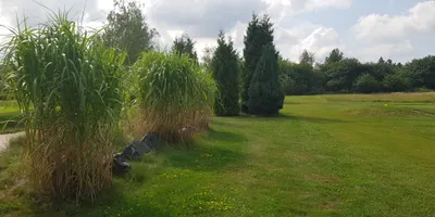 Club image Golf Club Molitorov