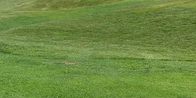 Club image Golf Club na Vrších