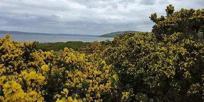 Club image Machrie Bay Golf Club