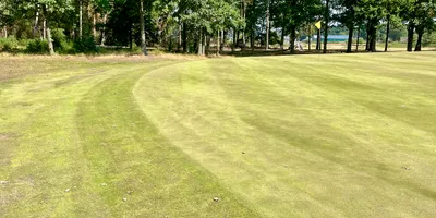 Club image Golfbaan De Swinkelsche