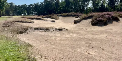Club image Golfbaan De Swinkelsche