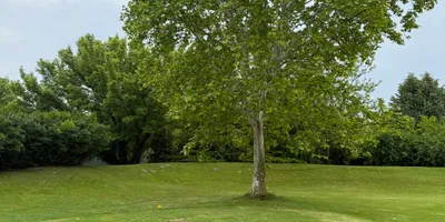 Club image Old Lake Golf Club & Hotel