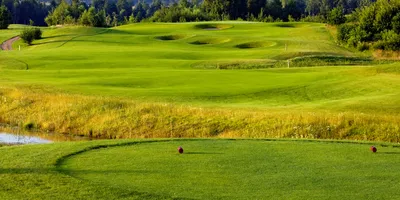Club image The V Golf Club