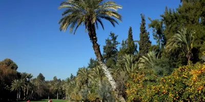 Club image Royal Golf de Marrakech