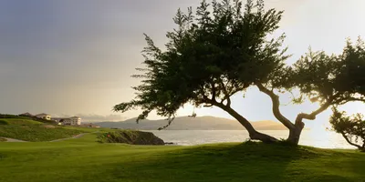 Club image La Cigale Tabarka Golf