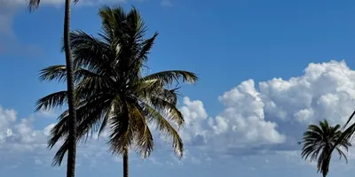Club image Royal St. Kitts Golf Club