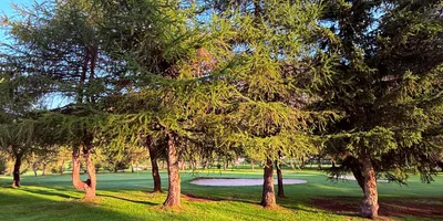 Club image Golfclub Riederalp