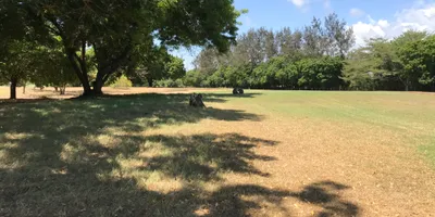 Club image Leisure Lodge Golf Resort
