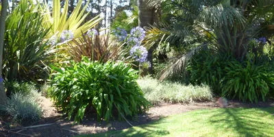 Club image Durbanville Golf Club