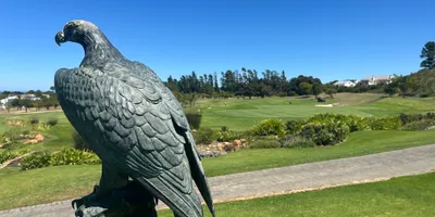 Club image Erinvale Golf Club