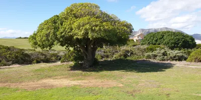 Club image Gansbaai Golf Club