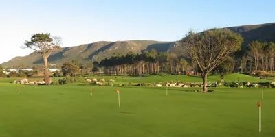 Club image Hermanus Golf Club