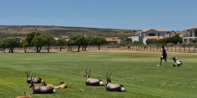 Club image Langebaan Country Estate - Golf & Leisure