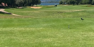 Club image Pecanwood Golf and Country Club