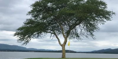 Club image Pecanwood Golf and Country Club