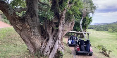 Club image Southbroom Golf Club