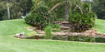 Club image Benoni Country Club