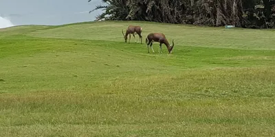 Club image West Bank Golf Club
