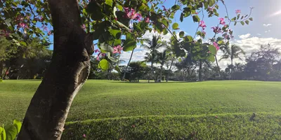 Club image Cocotal Golf and Country Club