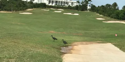 Club image Aurora Anguilla Resort & Golf Club