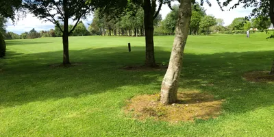 Club image Ballymascanlon Golf Club