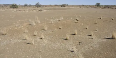 Club image Keetmanshoop Golf Course