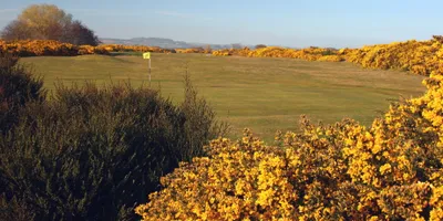 Club image Montrose Golf Course