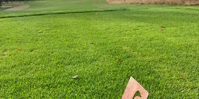 Club image De Goese Golf