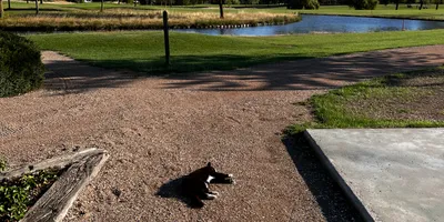 Club image De Goese Golf