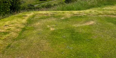 Club image Strathpeffer Spa Golf Club