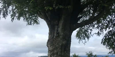 Club image Vale of Leven Golf Club