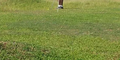Club image Golf des Abymes