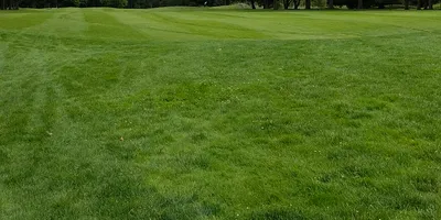 Club image Golfvereniging 'De Woeste Kop'