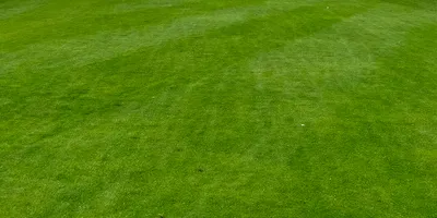 Club image Golfvereniging 'De Woeste Kop'