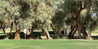 Club image Furnace Creek Golf Course at Death Valley