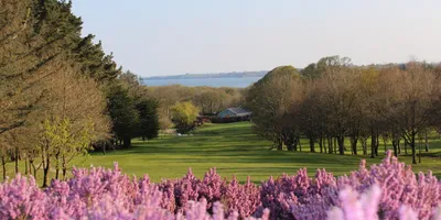 Club image Courtown Golf Club
