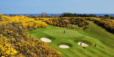 Club image Druids Glen Hotel & Golf Resort