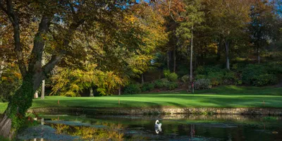 Club image Druids Glen Hotel & Golf Resort