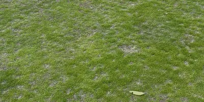 Club image Haarlemmermeersche Golfclub