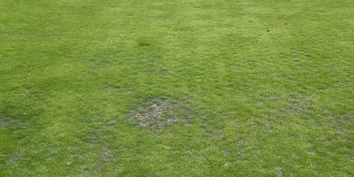 Club image Haarlemmermeersche Golfclub