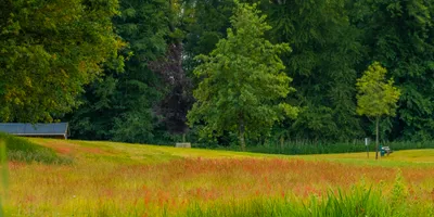 Club image Golfclub Zwolle