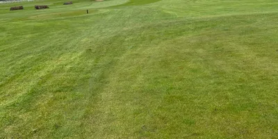 Club image Gowran Park Golf & Race Course